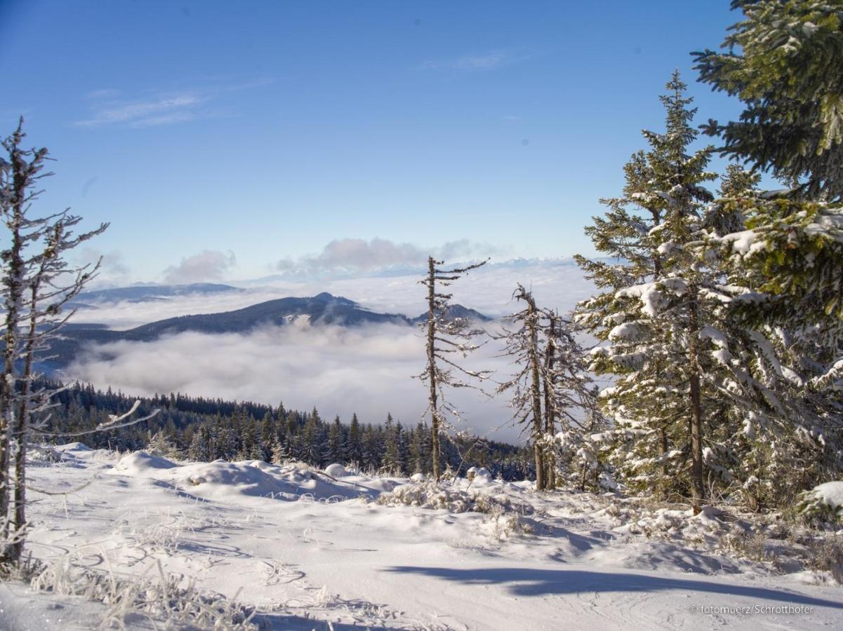Wiesenquartier Langenwang Esterno foto