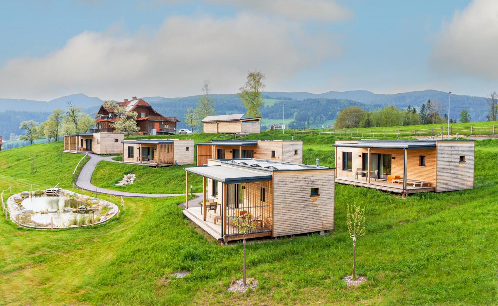 Wiesenquartier Langenwang Esterno foto